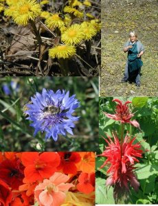 Les Mères Veilleuses