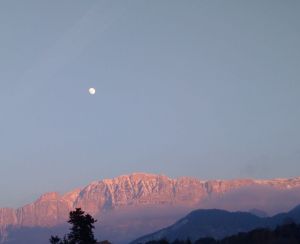 IMG_20160121_172226_edit (1)