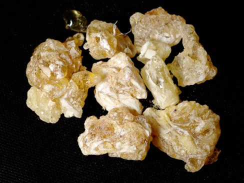 frankincense-essential-oil-anti-cancer