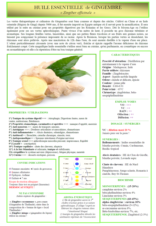 HE gingembre